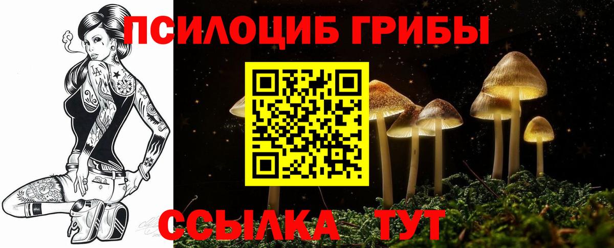 ГАШ Магадан