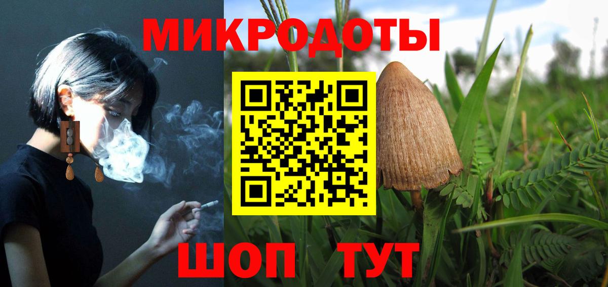 Галлюциногенные грибы прущие грибы  Галлюциногенные грибы Psilocybe  Вход с VPN  Магадан 
